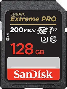 64GB SanDisk Ultra SDXC Card for Full HD Video and Photography