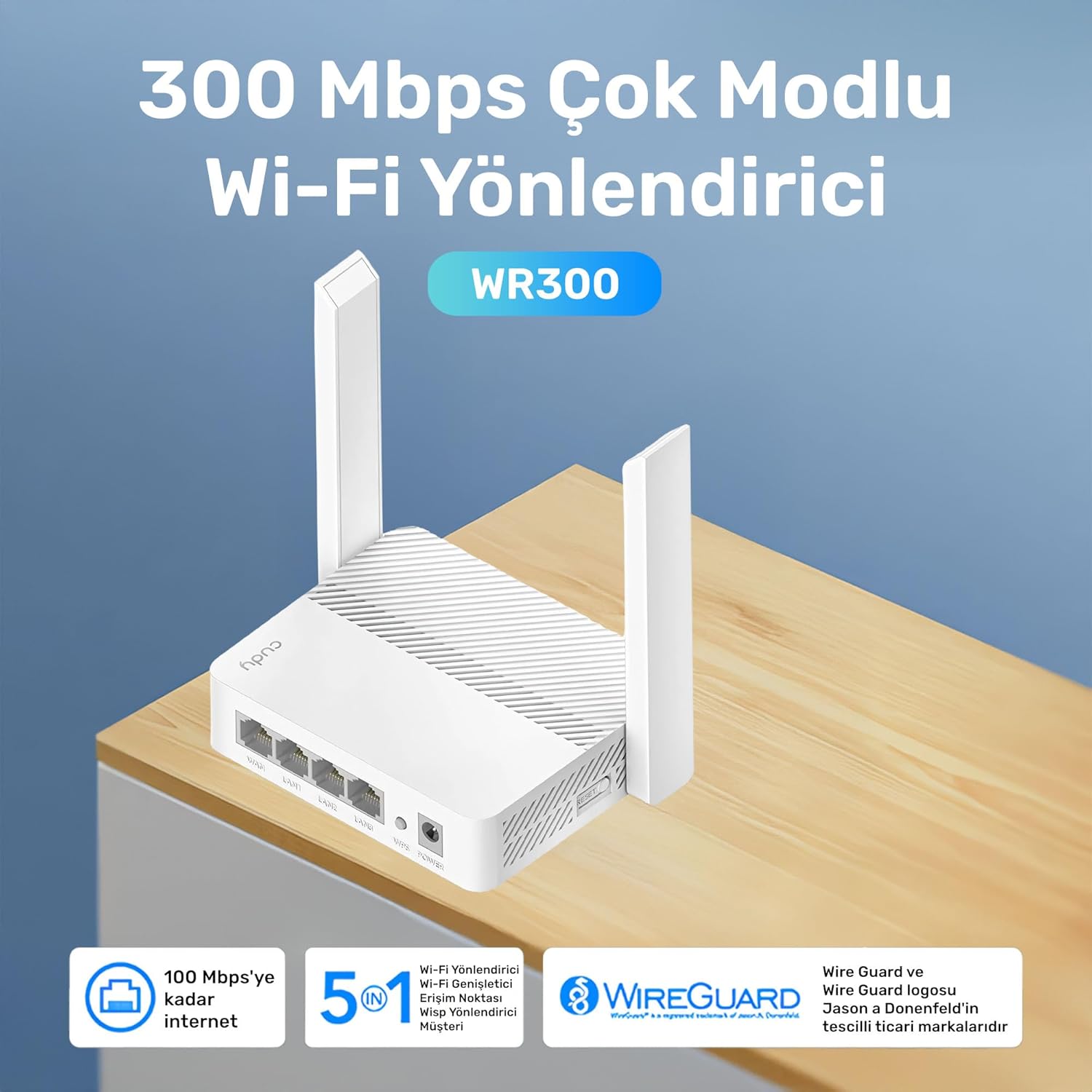 CUDY WR300 N300 Wi-Fi Router - 300Mbps Speed, Multi-Mode & VPN Client